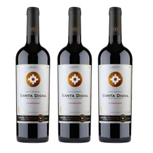 Pack 3 Santa Digna Gran Reserva Carmenére - 750cc